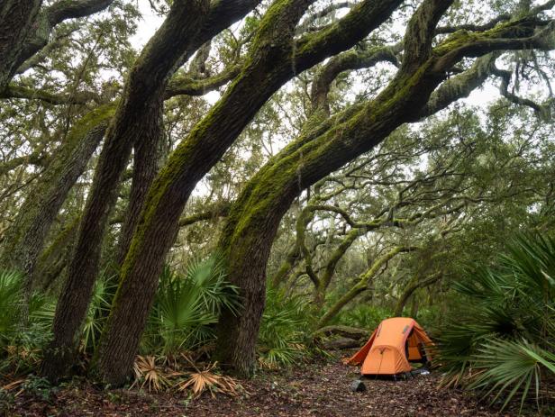 Camping on Cumberland Island, Georgia