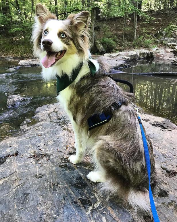 Mistletoe State Park in Appling, Georgia. Photo by @jaspertheaustralianshepherd