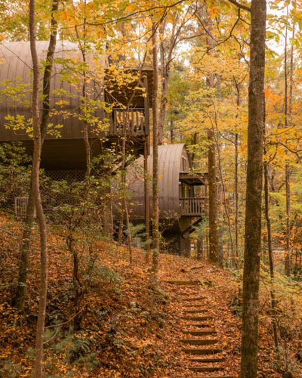 Wine barrel cabins are shown in the woods during fall