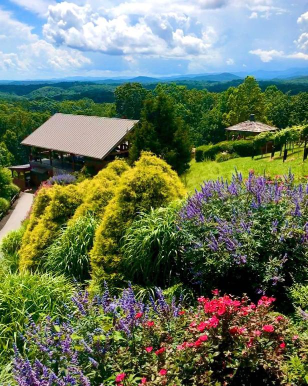 A mountain view of Wolf Mountain Vineyards & Winery. Photo by @go.see.be