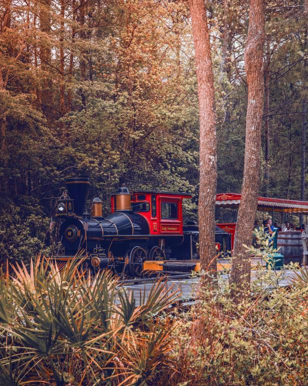 A fall foliage train ride on theOkefenokee Swamp Park Train in Waycross, Georgia. Photo by @tolgy75