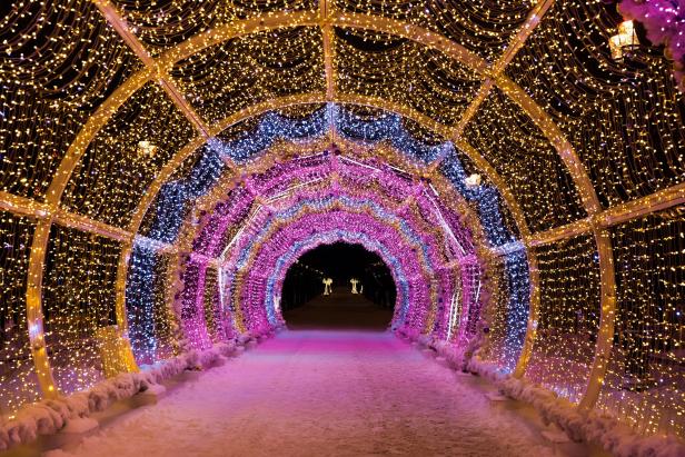 A tunnel of holiday lights with a road running through it.