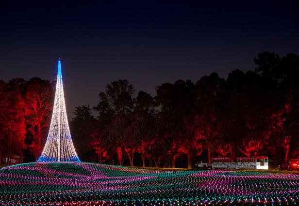 A large lighted tree sits in a field of lights. 