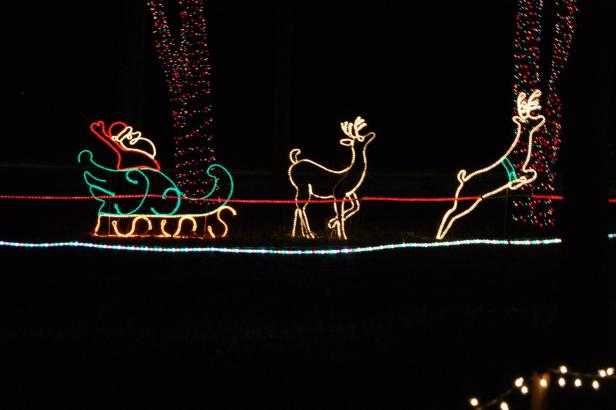 Holiday lights at Pettit Creek Farms in Cartersville, Georgia
