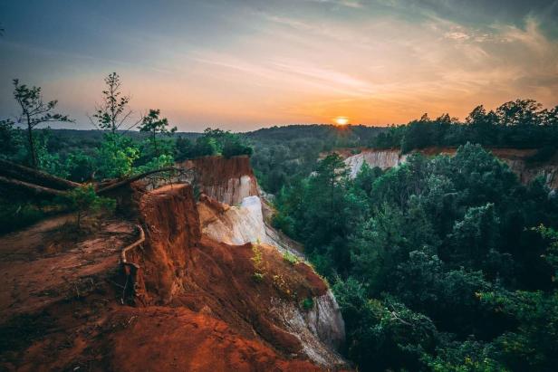 A canyon overlook is surrounded by trees with a sunset in the distance.