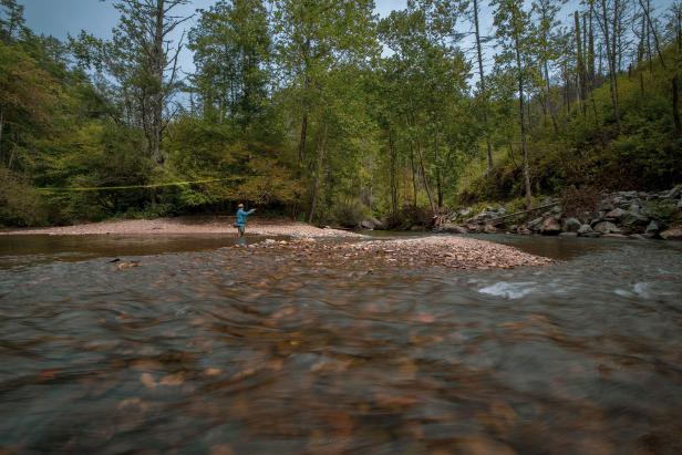 Fly fishing in North Georgia near Clayton. Photo by @benjamingalland