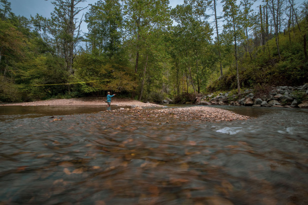 Fly fishing in North Georgia near Clayton. Photo by @benjamingalland