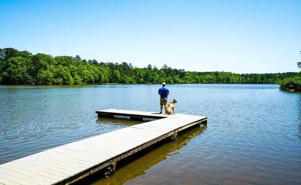 Man and dog on dock at Lake Rutledge at Hard Labor Creek State Park in Rutledge, Georgia. Photo by @reese2282