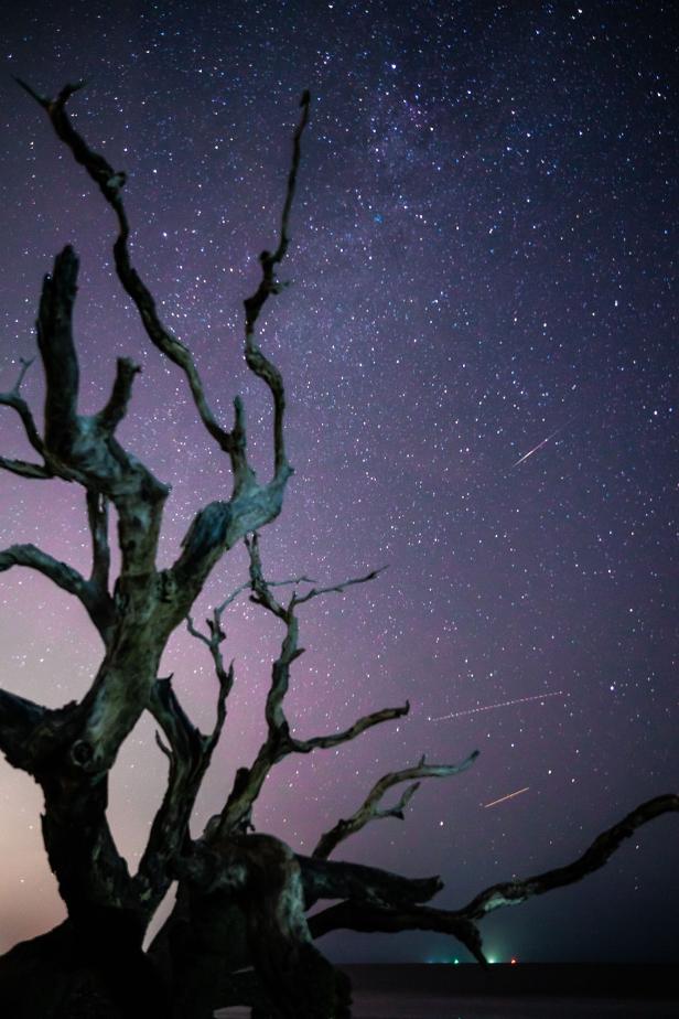 Stars over Driftwood Beach on Jekyll Island, Georgia. Photo by @jekyll_island