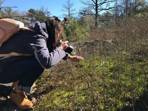 Nature photographer at Arabia Mountain National Heritage Area
