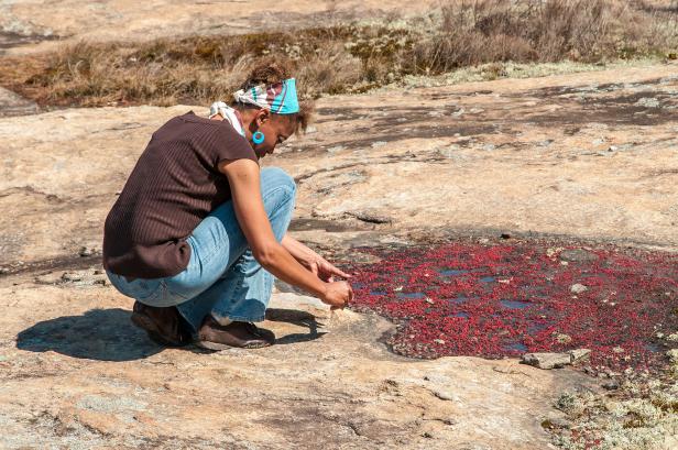 Woman inspecting red diamorpha. Photo courtesy Arabia Mountain National Heritage Area Alliance