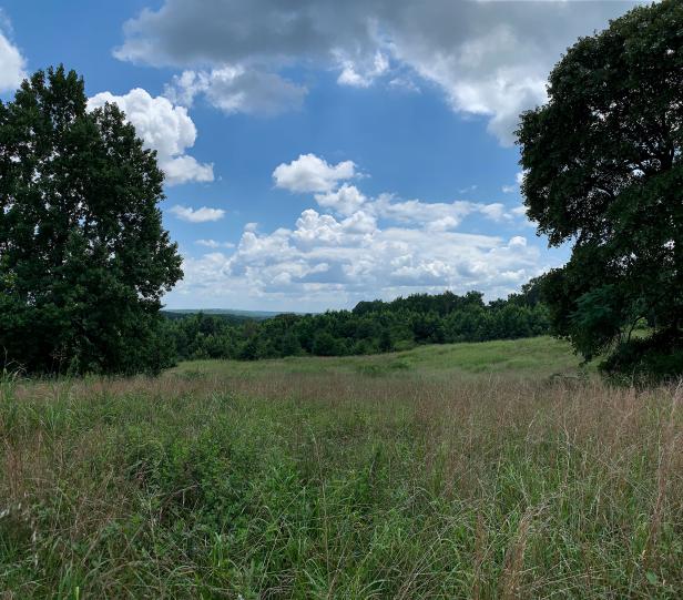 Vaughters Farm meadow. Photo courtesy Arabia Mountain National Heritage Area Alliance