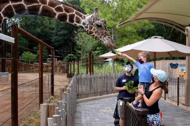 Family feeding a giraffe at Zoo Atlanta