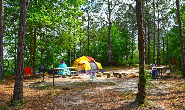 Paddle-in camping at Reed Bingham State Park in Adel, Georgia