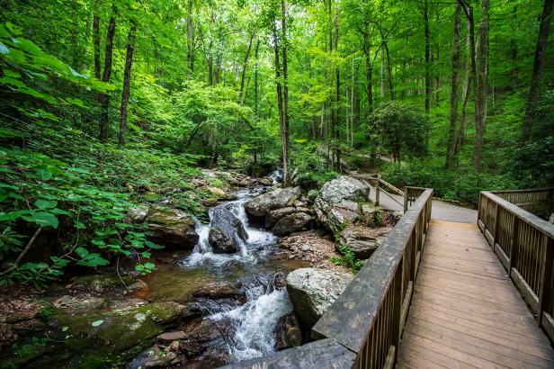 Trail to Anna Ruby Falls in Helen, Georgia