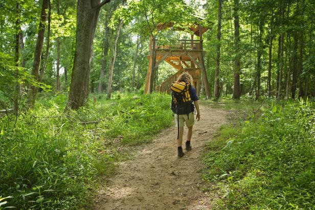 A hiker with long, curly, blond hair walks a dirt trail at Chattahoochee Bend State Park in Newnan, Georgia. Their back is to the camera, but they are wearing a yellow backpack as they walk the path, flanked on either side by overgrown and whispy greenery and towering trees. The whole scene is bathed in a shade of green because of the sun shining through the leaves. In front of the hiker is a tall treehouse-looking structure, with a winding wooden staircase and second-story patio that's roofed.