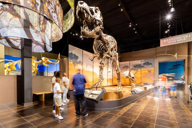 Family looking at a dinosaur at Tellus Science Museum in Cartersville, Georgia. Photo by @benjamingalland