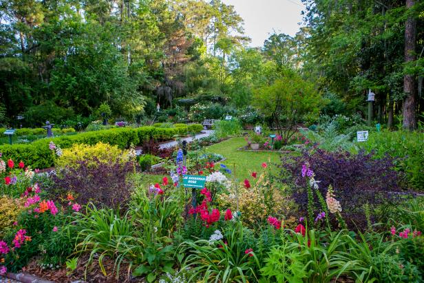 Savannah Botanical Garden in spring