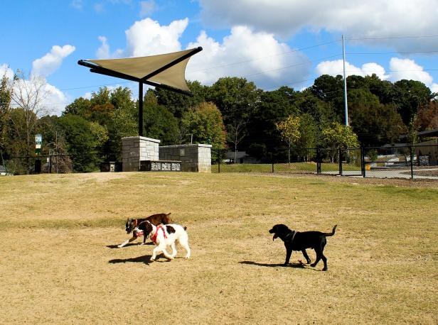 Skyland Park