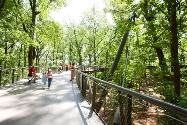 Canopy walk at Atlanta Botanical Garden in Atlanta, Georgia