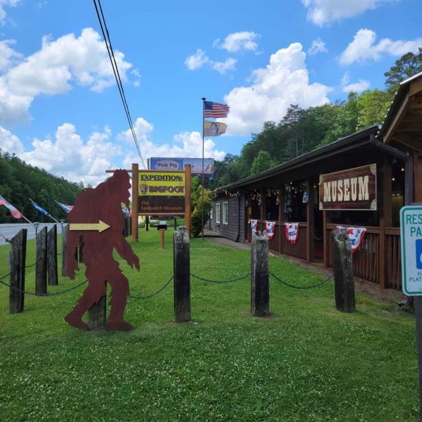 Outside of Expedition: Bigfoot in Cherry Log, Georgia