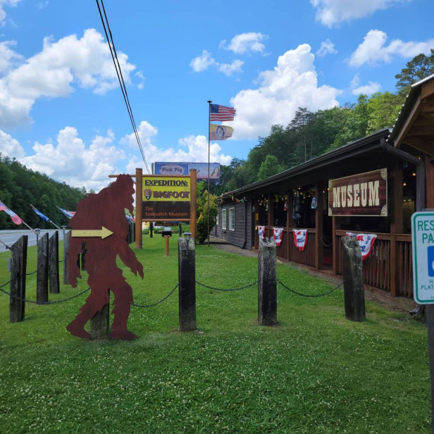 Outside of Expedition: Bigfoot in Cherry Log, Georgia