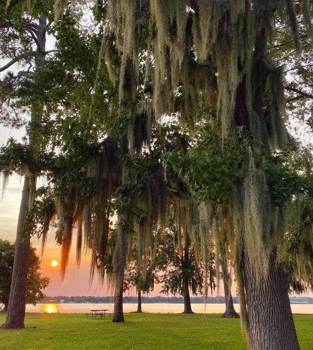 Sunset through the trees at Lake Blackshear in Cordele, Georgia