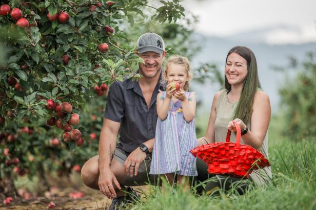 Apple Orchard in Ellijay