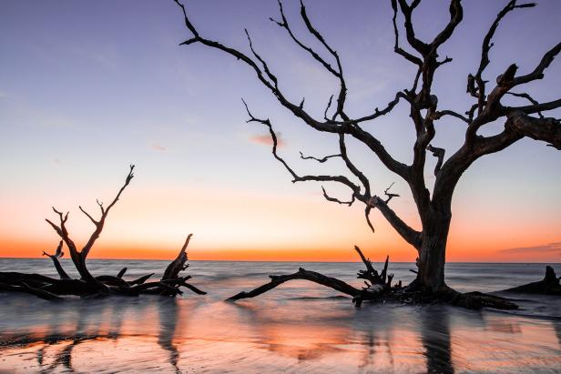 Driftwood Beach on Jekyll Island, Georgia, at sunrise