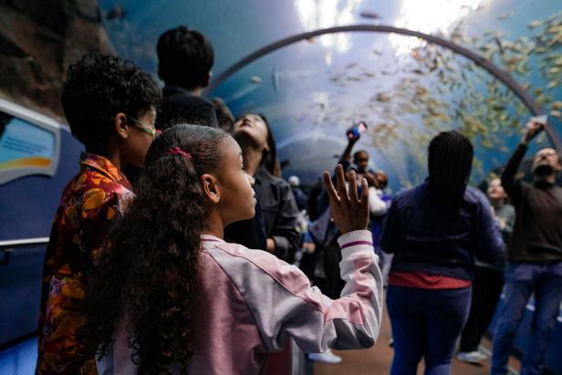 Two children in the underwater tunnel at Georgia Aquarium in Atlanta, Georgia