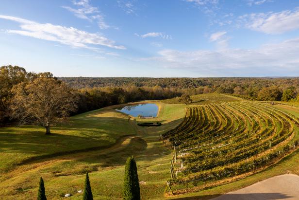 Scenic view of the vineyard and pond at Montaluce Winery