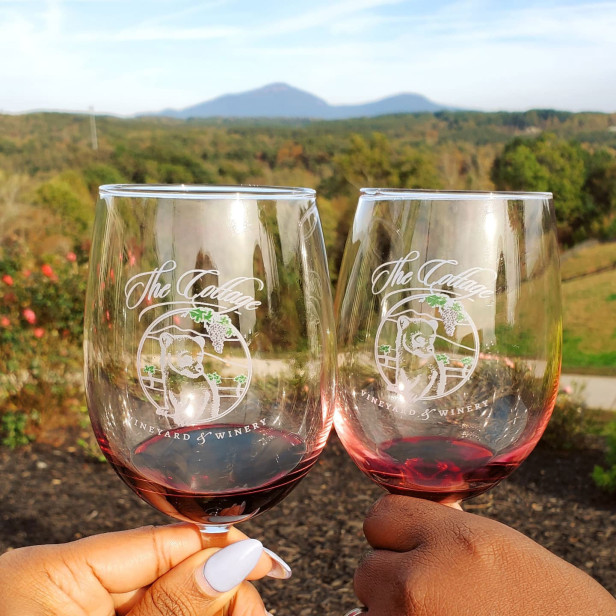 Couple toasting wine glasses with mountains in the background.