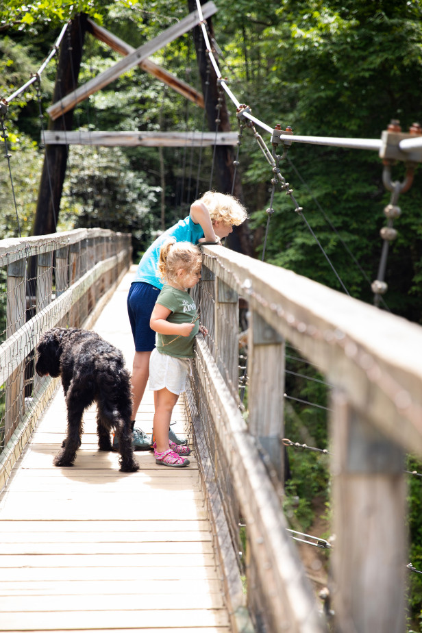 Children and a dog on the swinging bridge in Blue Ridge, Georgia