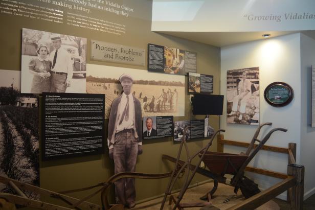 Exhibit at the Vidalia Onion Museum in Vidalia, Georgia.
