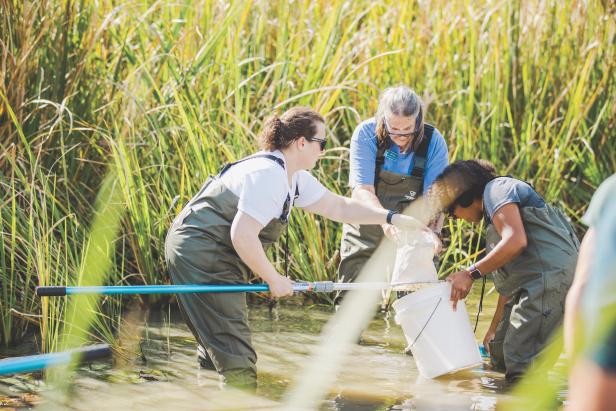 Three people in the wetlands of Phinizy Center & Nature Park participating in the Eco Explorers program collecting water samples in Augusta, Georgia