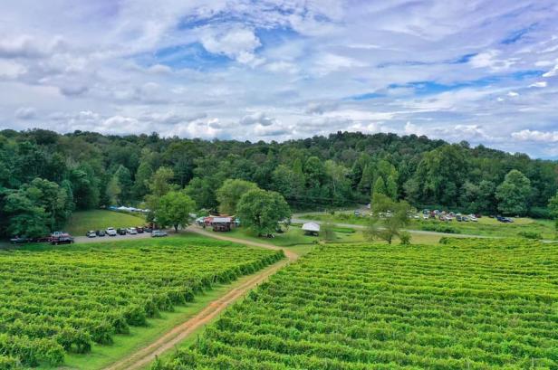 Scenic view of Cartecay Vineyards in Ellijay, Georgia