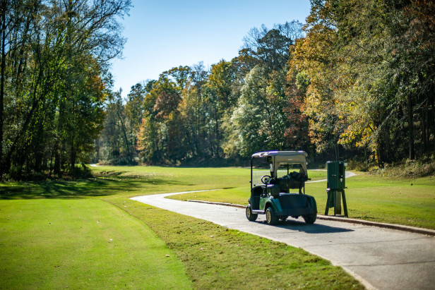 Golf cart on a path at Hard Labor Creek State Park