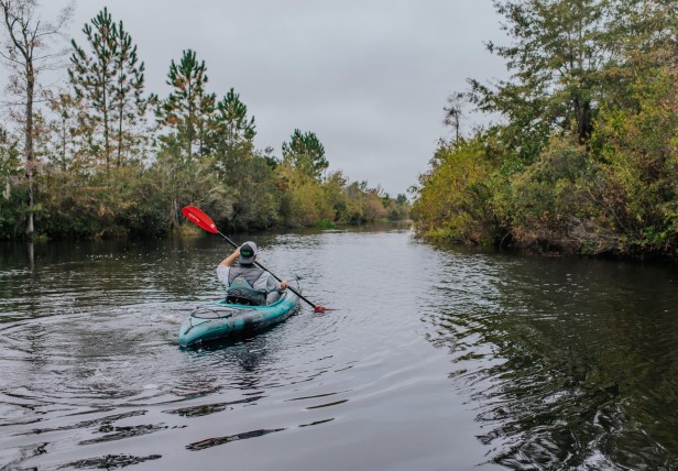 Person kayaking in the Okefenokee National Wildlife Refuge 