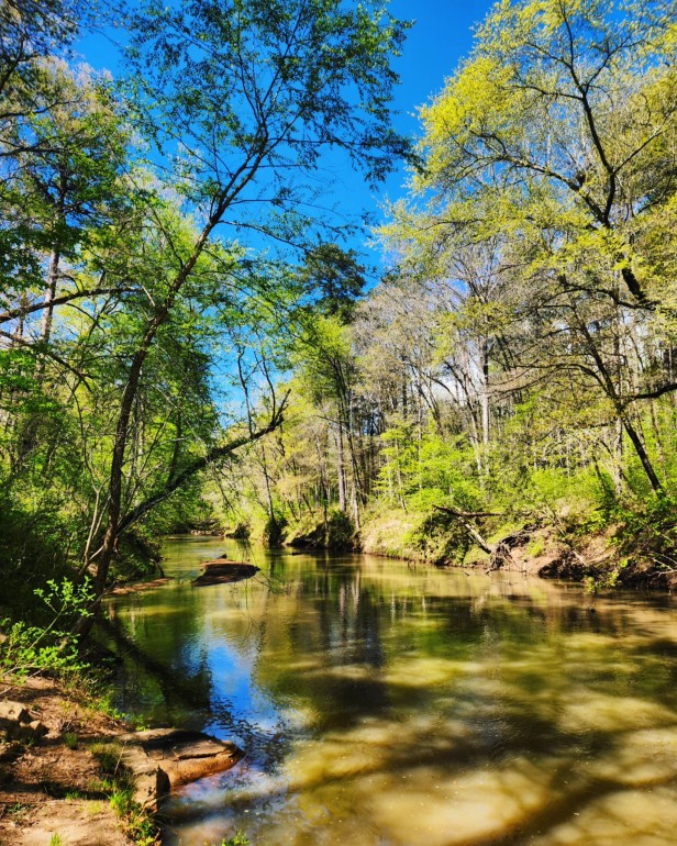 Creek along the Hitchiti Nature Trail in Gray, Georgia