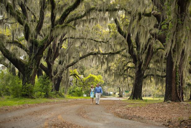 Avenue of the Oaks on St. Simons Island, Georgia