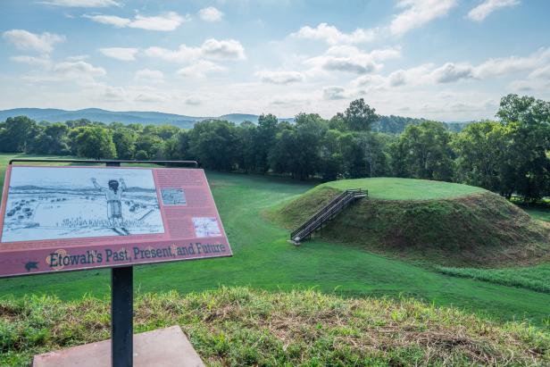 Etowah Indian Mounds