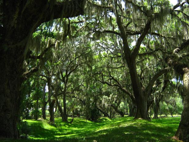 Fort Frederica National Monument on St. Simons Island, Georgia