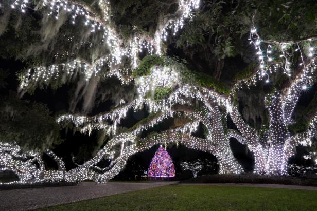 Christmas tree and holiday lights on Jekyll Island, Georgia