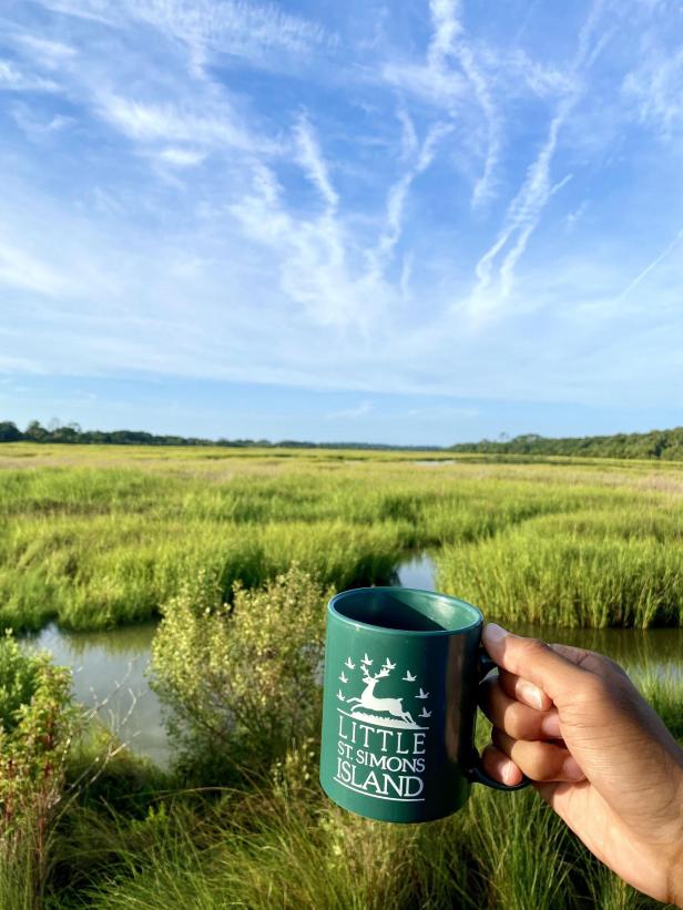 View of the marsh on Little St. Simons Island, Georgia