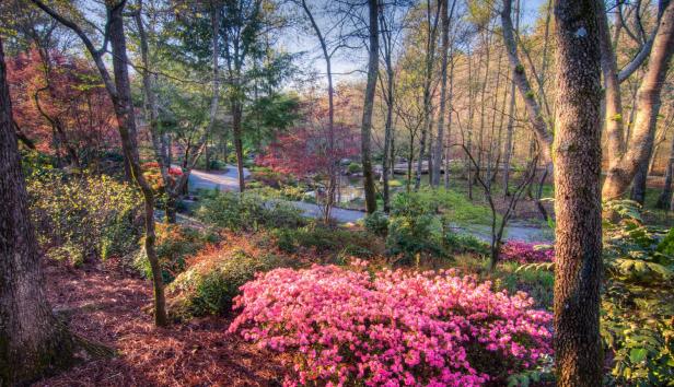 Gibbs Gardens in Ball Ground, Georgia
