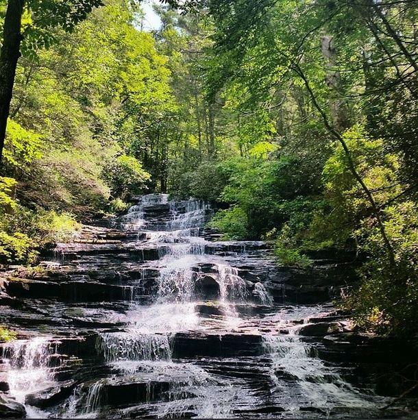 A series of low waterfalls tumble over rocks surrounded by trees.