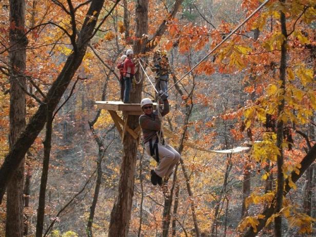 A group ziplines through colorful treetops in the woods