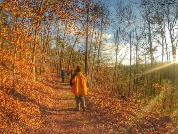 Trails in the Chattahoochee River National Recreation Area in Marietta, Georgia