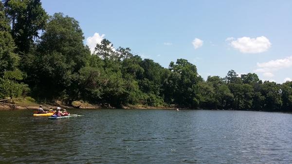 Kayaking Flint River