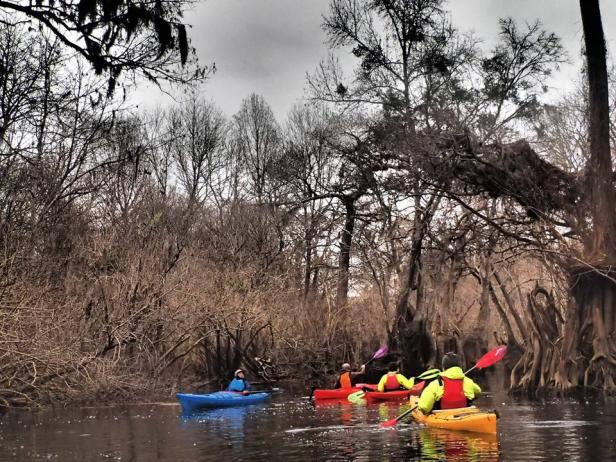 Ebenezer Creek